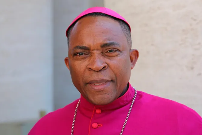 Católicos de África apoyamos la doctrina de la Iglesia sobre la familia, dice Obispo