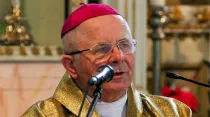Arzobispo Sigitas Tamkevicius. Foto: Juliux / Wikimedia Commons CC BY-SA 3.0