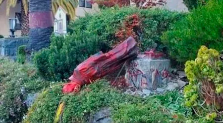 Desfiguran y derriban otra estatua de San Junípero Serra en Estados Unidos