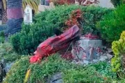 Desfiguran y derriban otra estatua de San Junípero Serra en Estados Unidos