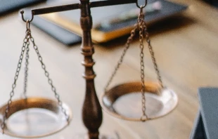 Imagen referencial. Cru00e9dito:  Sora Shimazaki/Pexels 