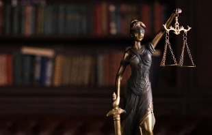 Imagen referencial. Cru00e9dito: Ekaterina Bolovtsova/Pexels 