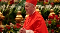 Cardenal Karl Becker / Foto: Twitter