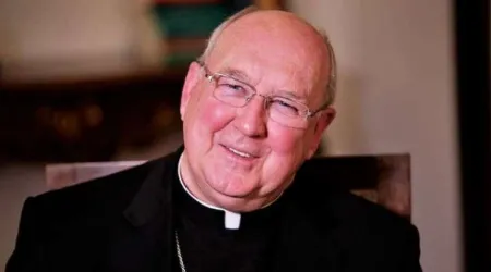 La vida pastoral es de todos, pero las bendiciones son para el matrimonio, afirma Cardenal