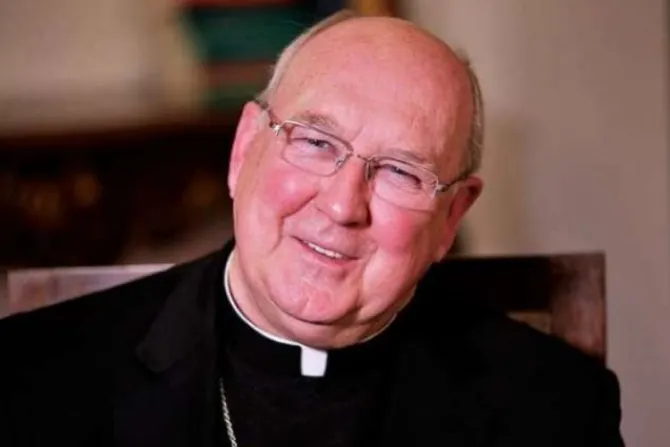La vida pastoral es de todos, pero las bendiciones son para el matrimonio, afirma Cardenal