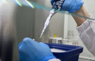 Laboratorio del Hospital Bambino Gesu00f9. Foto: Hospital Bambino Gesu00f9 