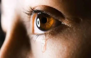 Imagen referencial. Cru00e9dito: Aliyah Jamous / Unsplash. 