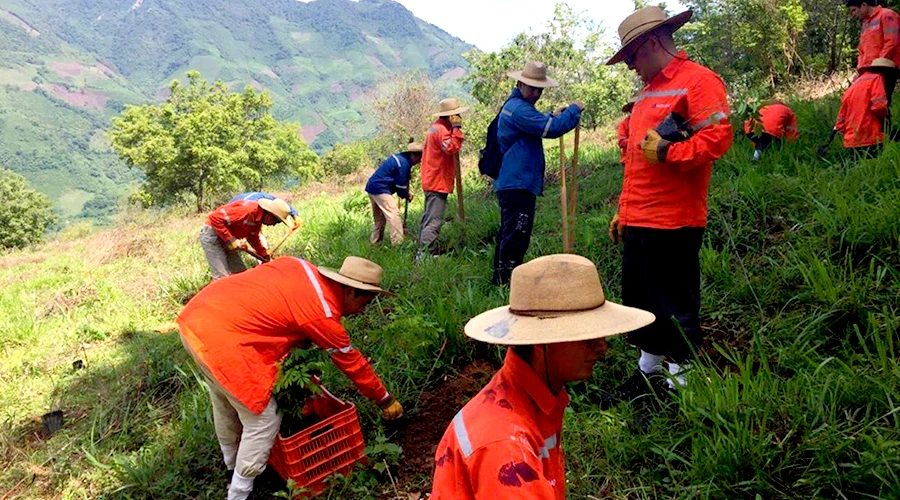 Seminaristas Legionarios de Cristo en trabajos de reforestación en la sierra de Hidalgo (México). Crédito: Regnum Christi?w=200&h=150