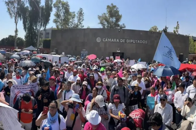 Miles de personas marchan en defensa de la familia y la niñez en México