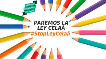 Plataforma Más Plurales convoca manifestaciones en toda España contra Ley de Educación 