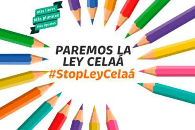 Plataforma Más Plurales convoca manifestaciones en toda España contra Ley de Educación 
