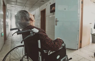 Imagen referencial / Cru00e9dito: Unsplash  