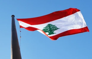 Imagen referencial. Cru00e9dito: Unsplash. 