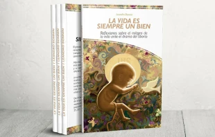 Portada de u201cLa vida es siempre un bien: Reflexiones sobre el milagro de la vidau201d / Cru00e9dito: Cortesu00eda del P. Leandro Bonnin  