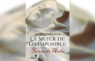 Foto: Portada del libro. 