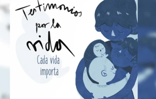 Libro Testimonios por la Vida / Imagen: Testimonios Por la Vida 