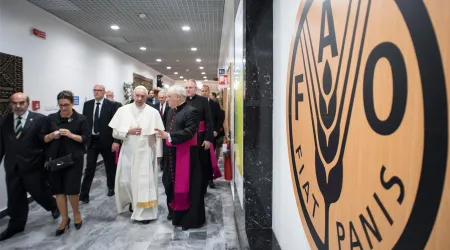 El Papa identifica obstáculos en la lucha contra el hambre y explica cómo superarlos