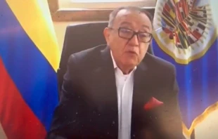 Luis Ernesto Vargas, embajador de Colombia ante la OEA. Cru00e9dito: Twitter 