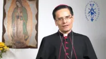 Mons. Luis Manuel Pérez Raygoza. Crédito: Captura de video / Arquidiócesis Primada de México.