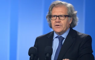 Luis Almagro. Foto: Flickr OEA-OAS (CC-BY-NC-ND-2.0) 