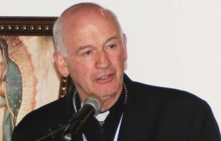 Mons. Luis Augusto Castro en Jubileo Extraordinario de la Misericordia en el Continente Americano, en Bogotu00e1 (Colombia). Foto: Eduardo Berdejo / ACI Prensa. 