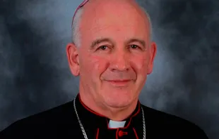 Mons. Luis Augusto Castro Quiroga. Foto: Arquidiócesis de Cali 