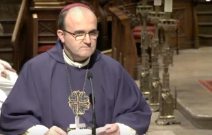 Mons. José Ignacio Munilla, Obispo de San Sebastián (España) durante el congreso de Evangelización "Sus heridas nos han curado". Crédito: Captura de Pantalla Youtube Diócesis de San Sebastián. 