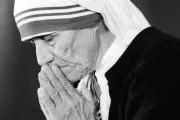 Mons. Munilla anima a ver esta película sobre Madre Teresa que se estrenará en pocos días