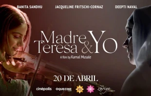 Afiche oficial. null