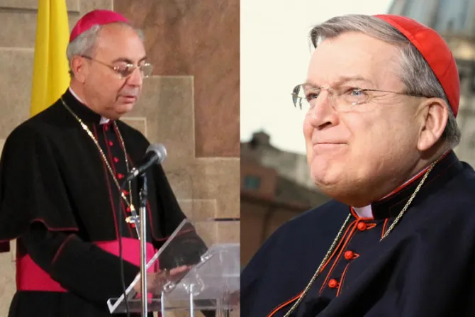 Papa Francisco nombra sucesor del Cardenal Burke en "Corte Suprema" del Vaticano