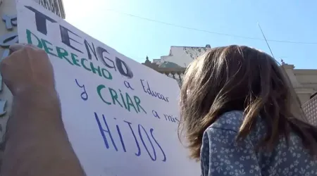 Chile: Padres exigen que Constitución resguarde su derecho a escoger educación de sus hijos