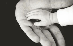 Imagen referencial. Cru00e9dito: Liane Metzler / Unsplash. 