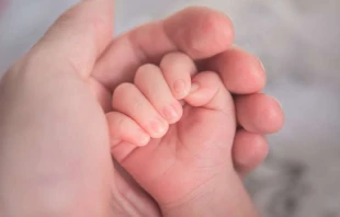 Imagen referencial. Cru00e9dito: Hu Chen / Unsplash. 