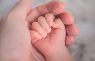 Imagen referencial. Cru00e9dito: Hu Chen / Unsplash. 