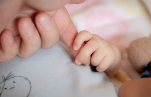 Foto referencial: Flickr Thomas CC BY 20 