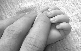 Foto : Mano de bebu00e9 / Cru00e9dito : Pixabay (Dominio Pu00fablico)  Pixabay (Dominio Pu00fablico)