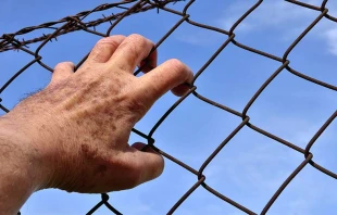 Imagen referencial. Foto: Pixabay / Dominio pu00fablico. 