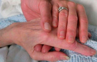 Imagen referencial / Foto: Flickr Janet Moore-Coll (CC-BY-NC-ND-2.0) 