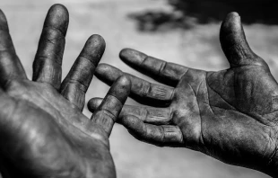 Manos de trabajador / Foto: Pixabay (Dominio Pu00fablico) 