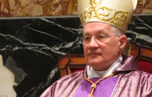 Cardenal Marc Ouellet. Foto: ACI Prensa 