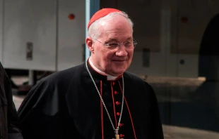 Foto: Flickr Michael_swan (CC-BY-ND-2.0) 