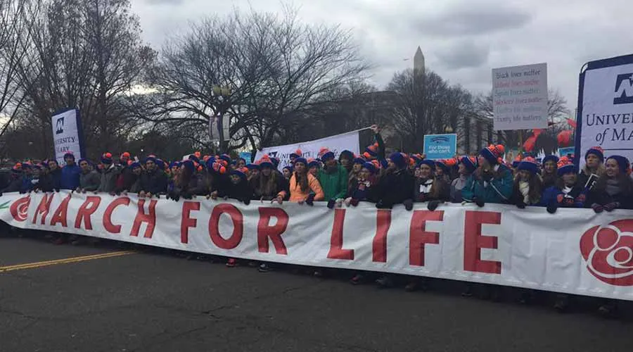 Marcha por la Vida 2017. Foto: Facebook The March For Life.