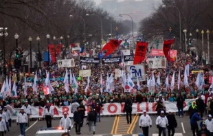 March for Life 2020 / Cru00e9dito: ACI Prensa - Peter Zelasko 