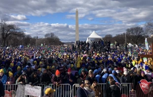Marcha por la Vida 2023 en el National Mall, Washington D.C. Cru00e9dito: March for Life 