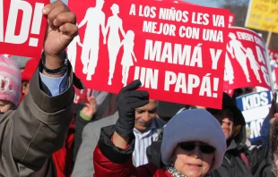Imagen referencial / March for Marriage en Washington D.C. Foto: American Life League (CC BY-NC 2.0) 