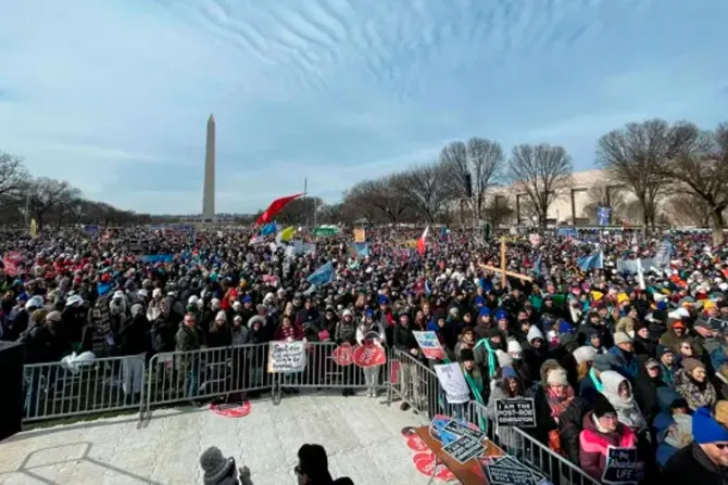 Decenas de miles participan de la 49° Marcha por la Vida en Estados Unidos