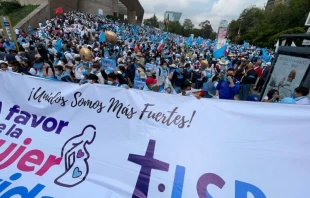 Marcha A favor de la mujer y de la vida en Ciudad de Mu00e9xico. Cru00e9dito: David Ramos / ACI Prensa. 