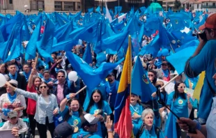Marcha por la Vida. Cru00e9dito: Unidosporlavida.com 