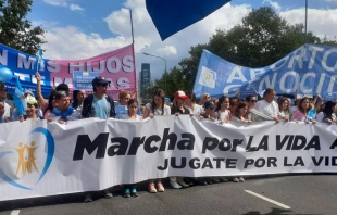 La Marcha por la Vida en Argentina este 25 de marzo. Cru00e9dito: Marcha por la Vida Argentina 
