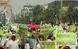 Marcha por la Vida en Ciudad de Mu00e9xico. Foto: Pasos por la Vida. 